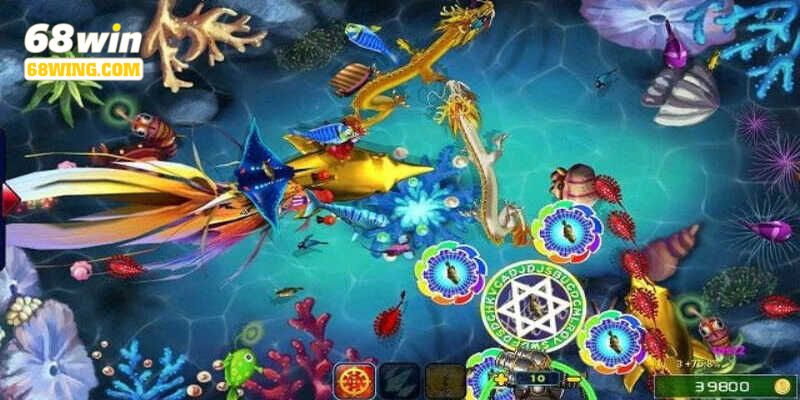 Tái hiện đại dương mênh mông, sinh vật biển quý giá