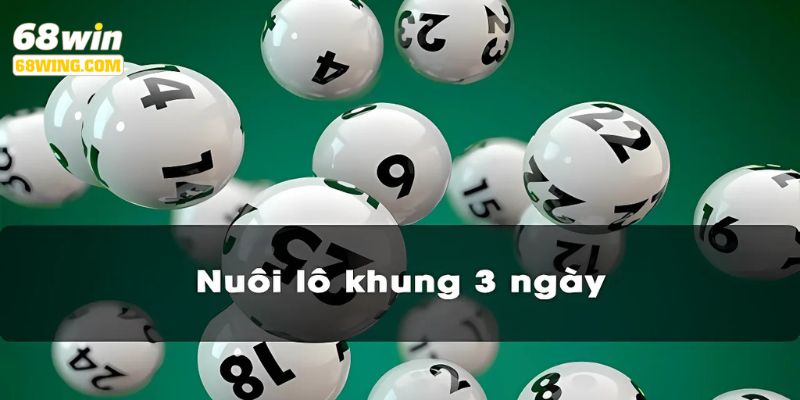 Tìm hiểu hình thức nuôi lô khung tại sảnh